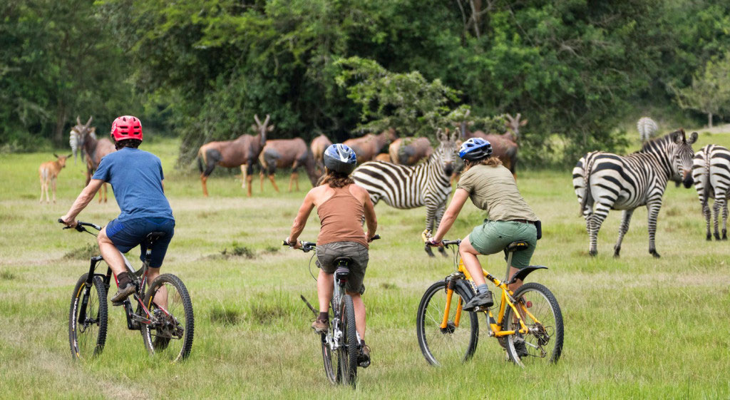 Why Uganda needs broadband connectivity in Game Parks

